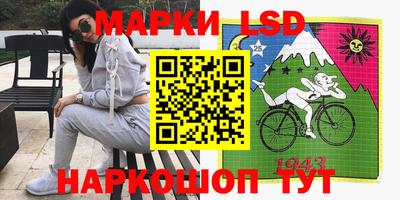 mdpv Заводоуковск