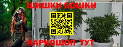 mdpv Заводоуковск